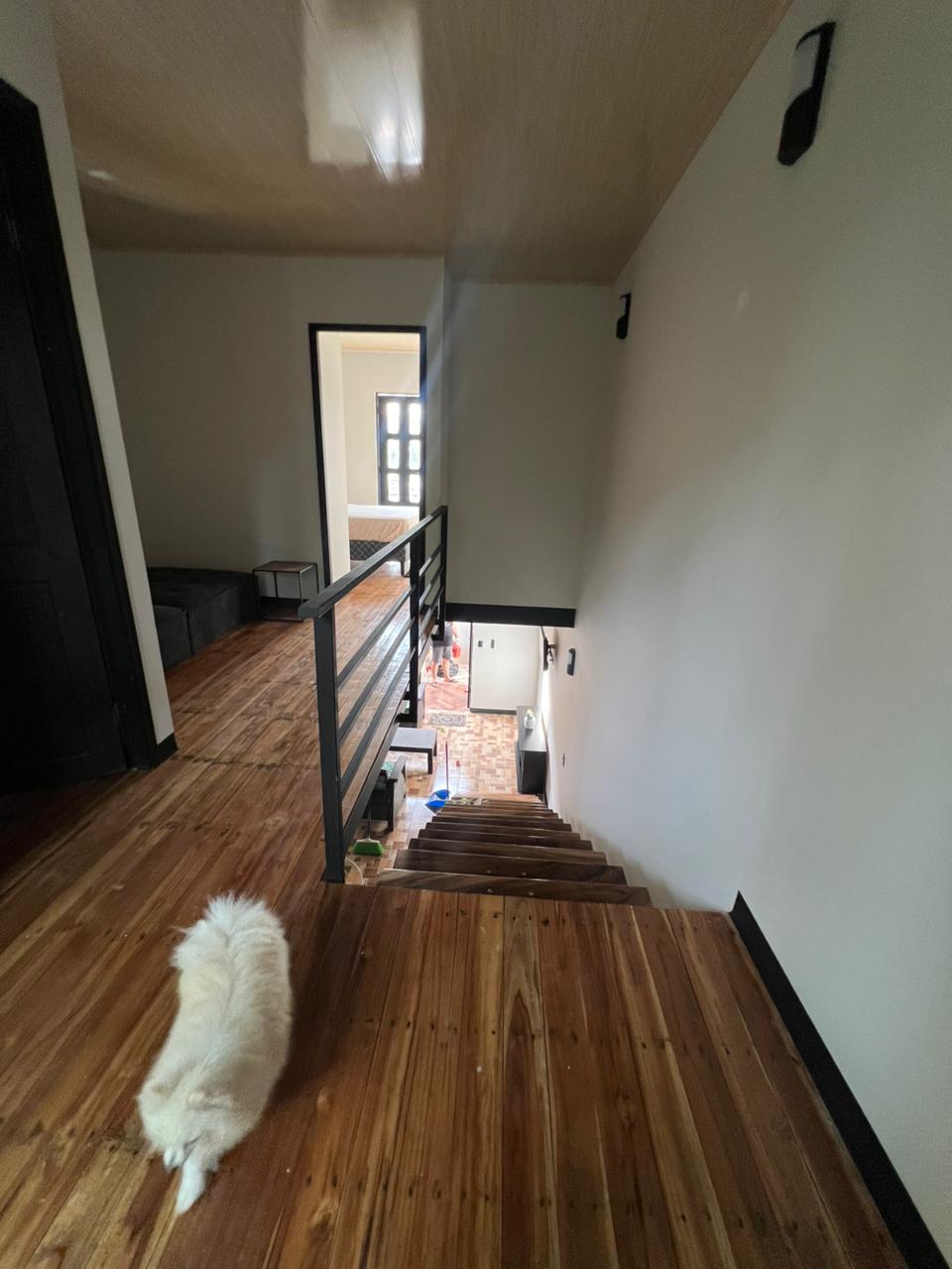 img 3